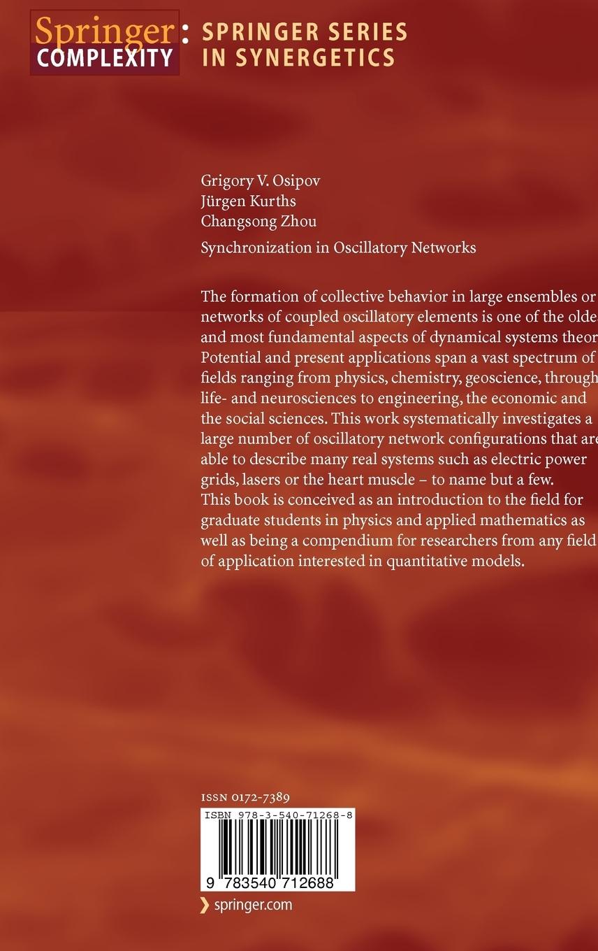 Rückseitencover Synchronization in Oscillatory Networks