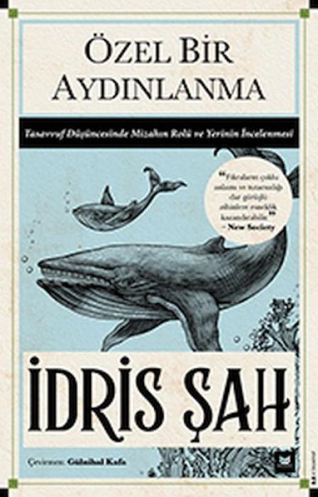 Vorderes Coverbild Özel Bir Aydinlanma