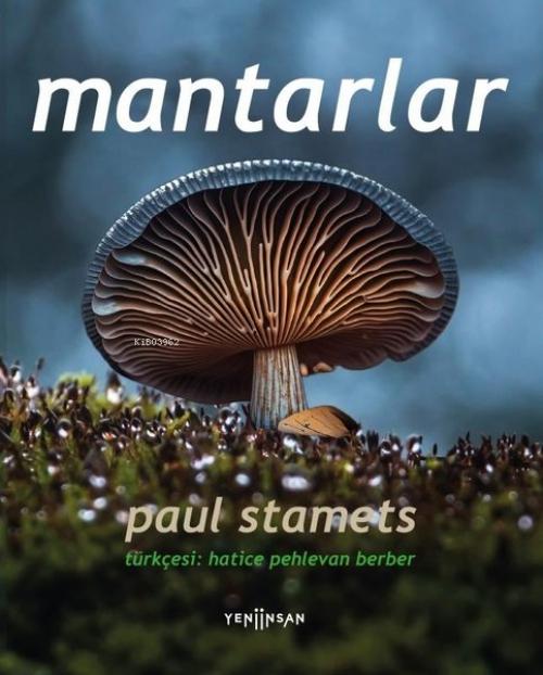 Vorderes Coverbild Mantarlar