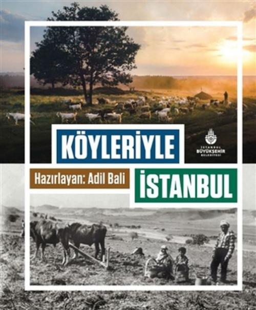 Vorderes Coverbild Köyleriyle Istanbul