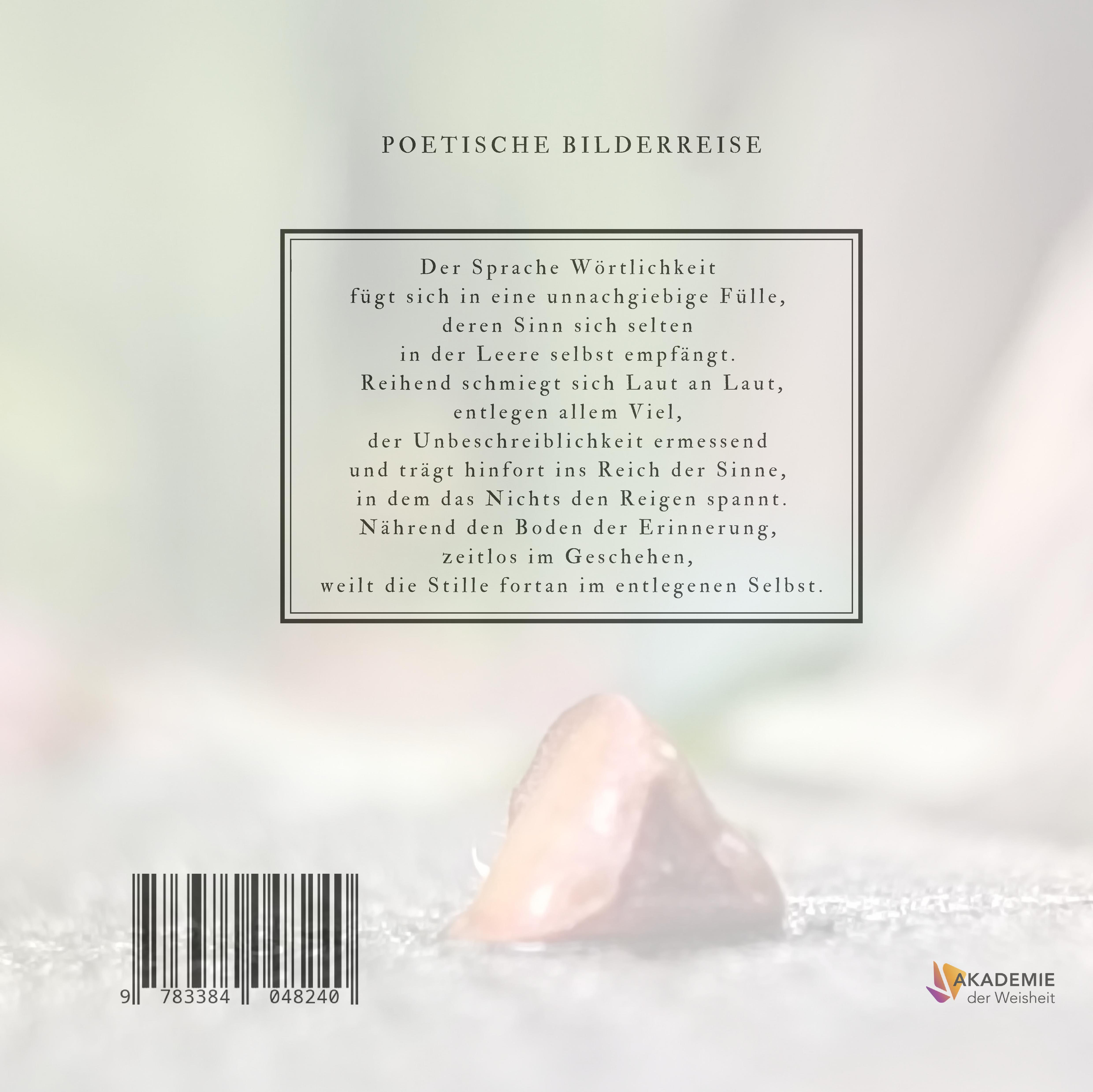 Rückseitencover DES SINNES LEERE