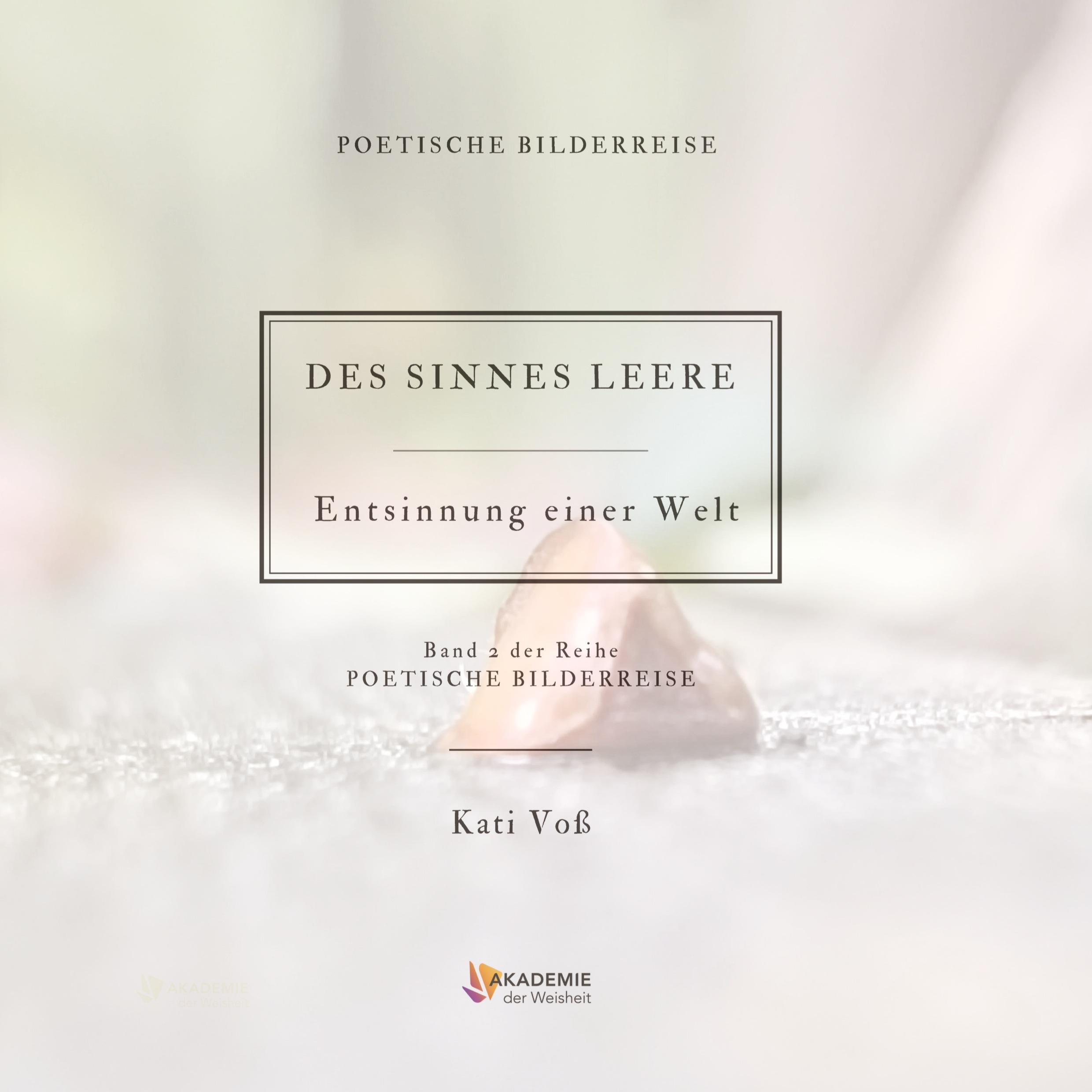 Vorderes Coverbild DES SINNES LEERE