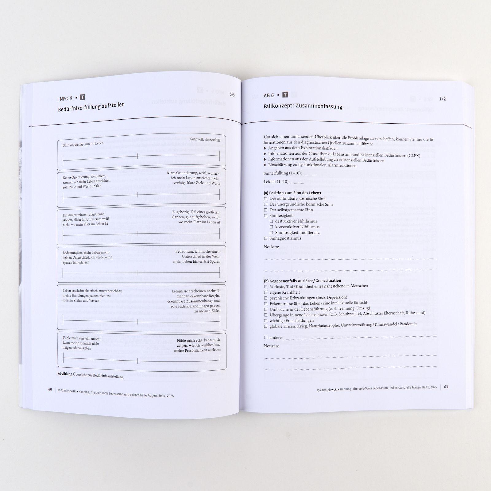 Beispielinhalt (Bild) Therapie-Tools Lebenssinn und existenzielle Fragen