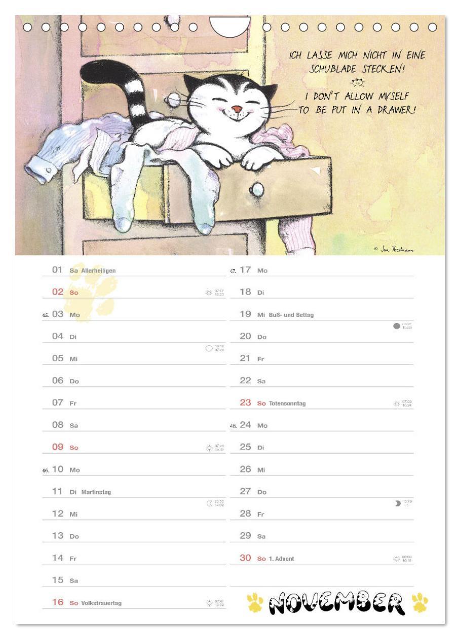 Beispielinhalt (Bild) Kater Jacob: kleine Katzenweisheiten (Wandkalender 2025 DIN A4 hoch), CALVENDO Monatskalender