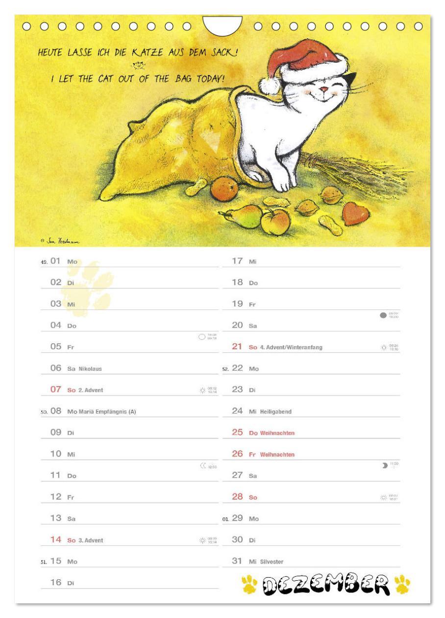Beispielinhalt (Bild) Kater Jacob: kleine Katzenweisheiten (Wandkalender 2025 DIN A4 hoch), CALVENDO Monatskalender