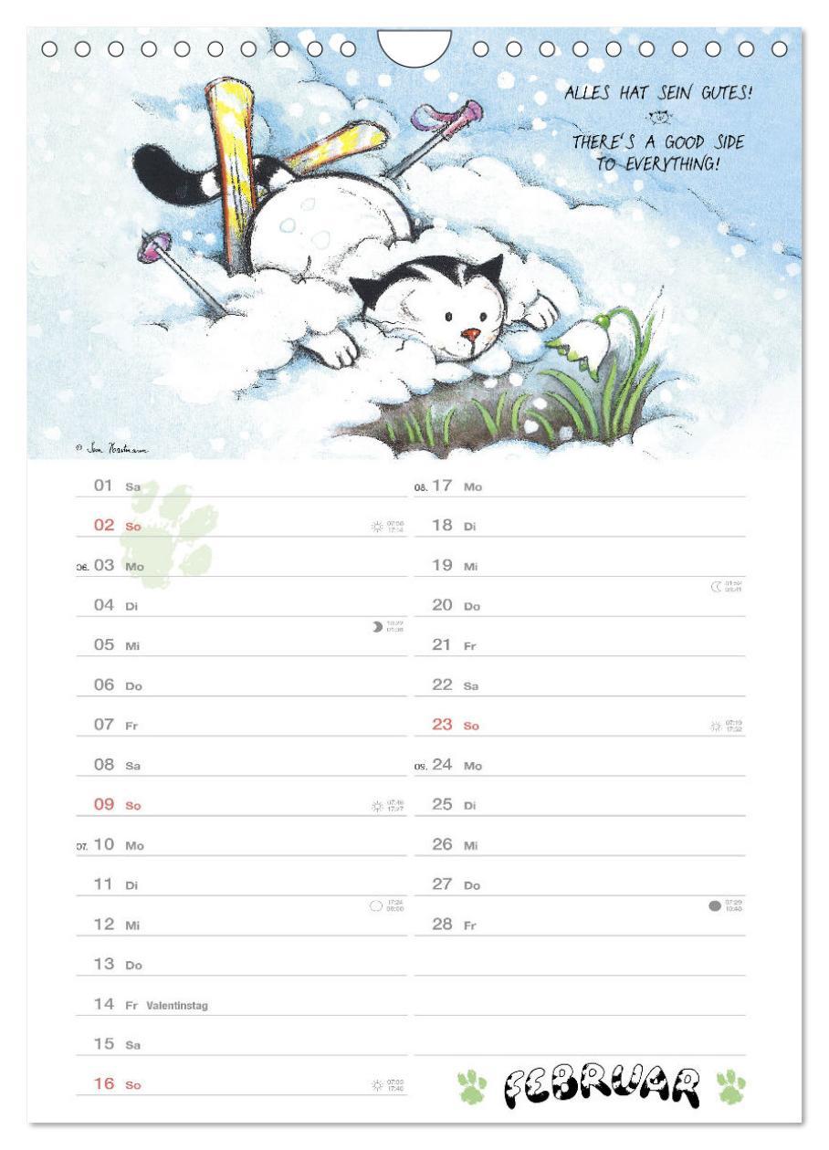Beispielinhalt (Bild) Kater Jacob: kleine Katzenweisheiten (Wandkalender 2025 DIN A4 hoch), CALVENDO Monatskalender