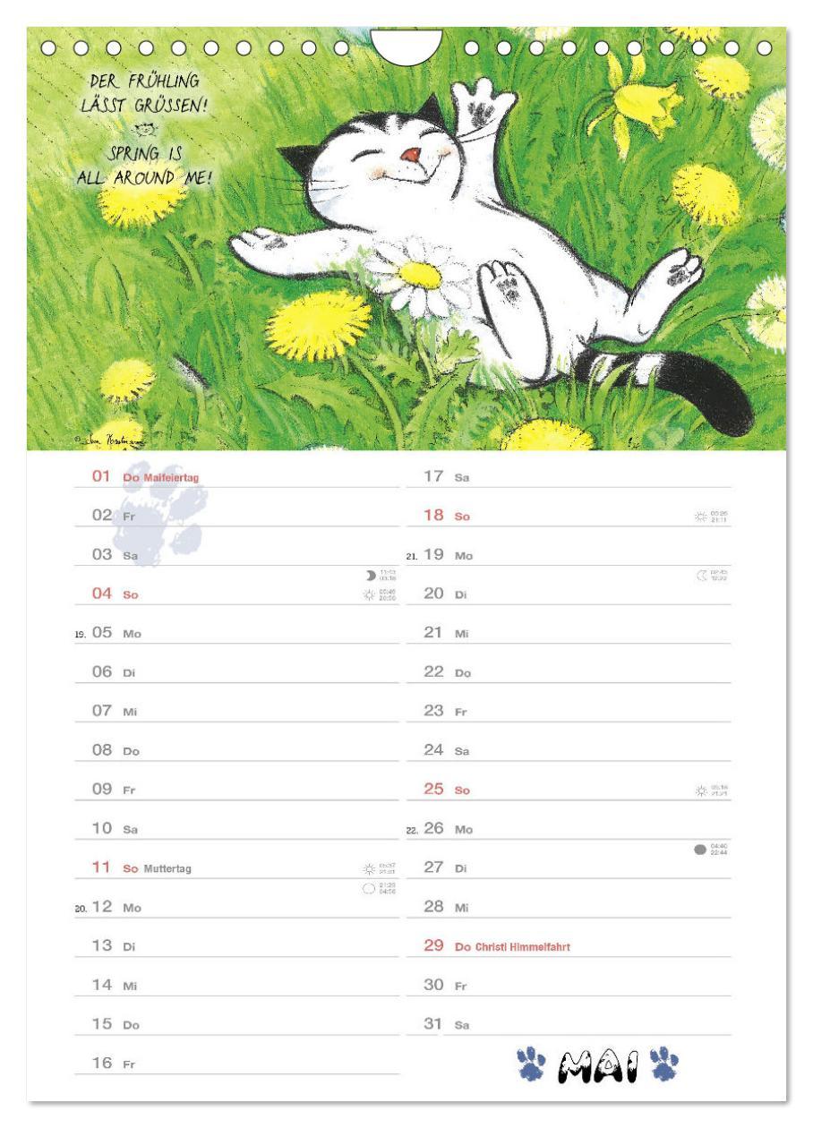 Beispielinhalt (Bild) Kater Jacob: kleine Katzenweisheiten (Wandkalender 2025 DIN A4 hoch), CALVENDO Monatskalender