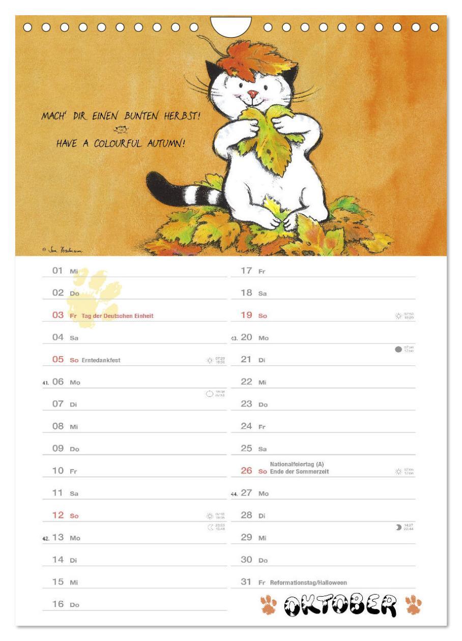 Beispielinhalt (Bild) Kater Jacob: kleine Katzenweisheiten (Wandkalender 2025 DIN A4 hoch), CALVENDO Monatskalender
