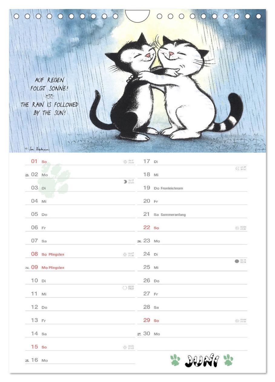 Beispielinhalt (Bild) Kater Jacob: kleine Katzenweisheiten (Wandkalender 2025 DIN A4 hoch), CALVENDO Monatskalender