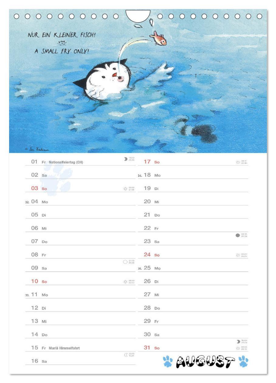 Beispielinhalt (Bild) Kater Jacob: kleine Katzenweisheiten (Wandkalender 2025 DIN A4 hoch), CALVENDO Monatskalender