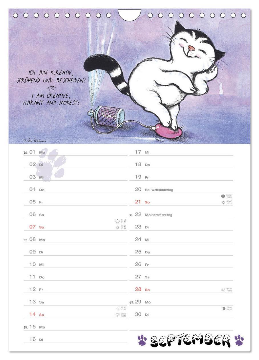 Beispielinhalt (Bild) Kater Jacob: kleine Katzenweisheiten (Wandkalender 2025 DIN A4 hoch), CALVENDO Monatskalender