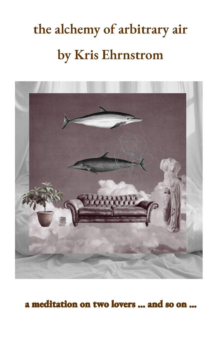 Vorderes Coverbild the alchemy of arbitrary air
