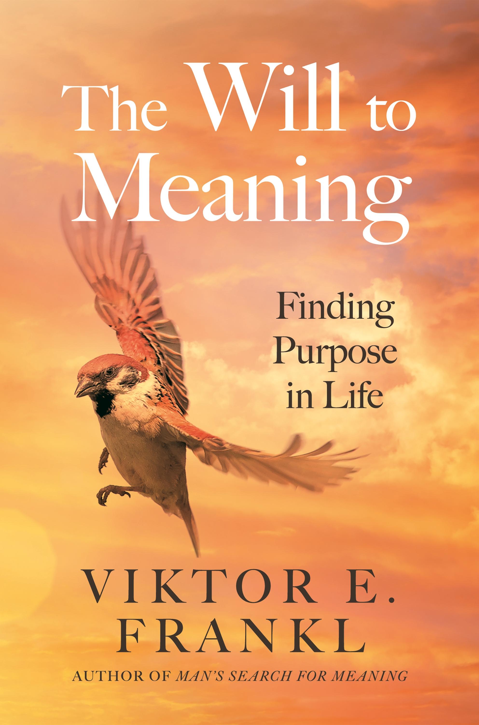 Vorderes Coverbild The Will to Meaning