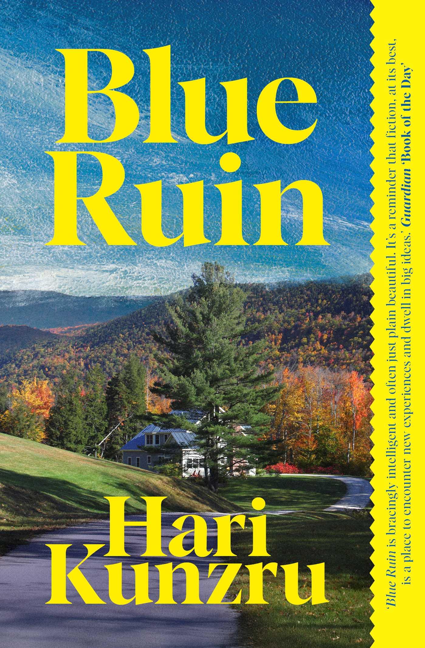 Vorderes Coverbild Blue Ruin