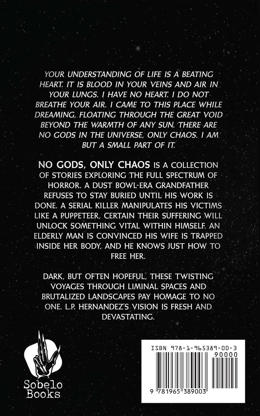 Rückseitencover No Gods, Only Chaos