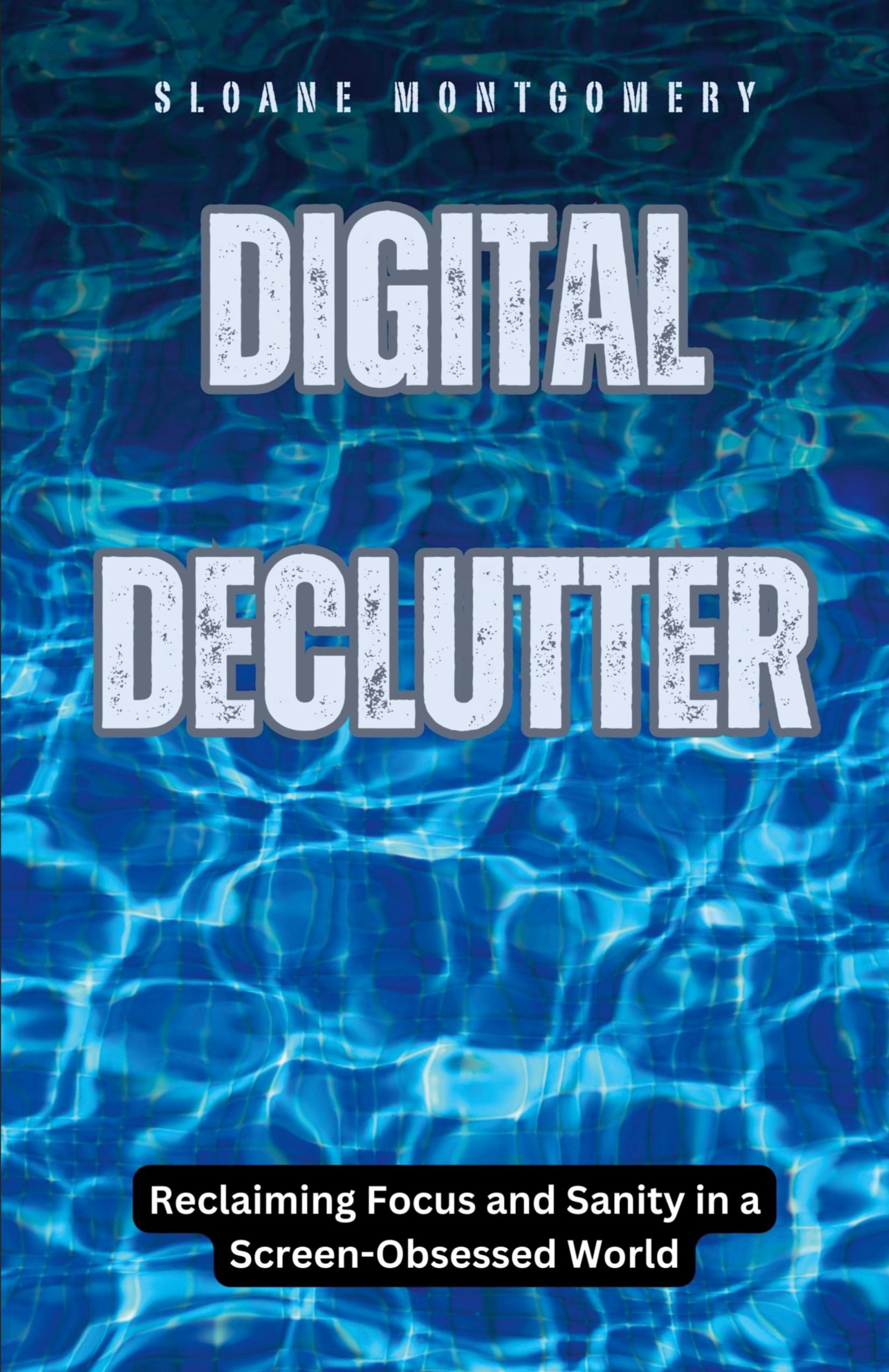 Vorderes Coverbild Digital Declutter
