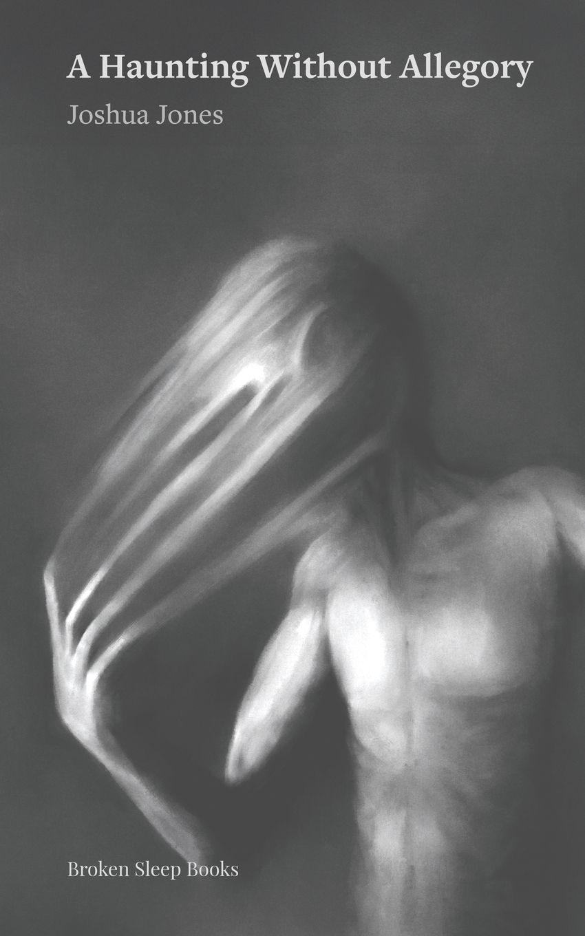 Vorderes Coverbild A Haunting Without Allegory