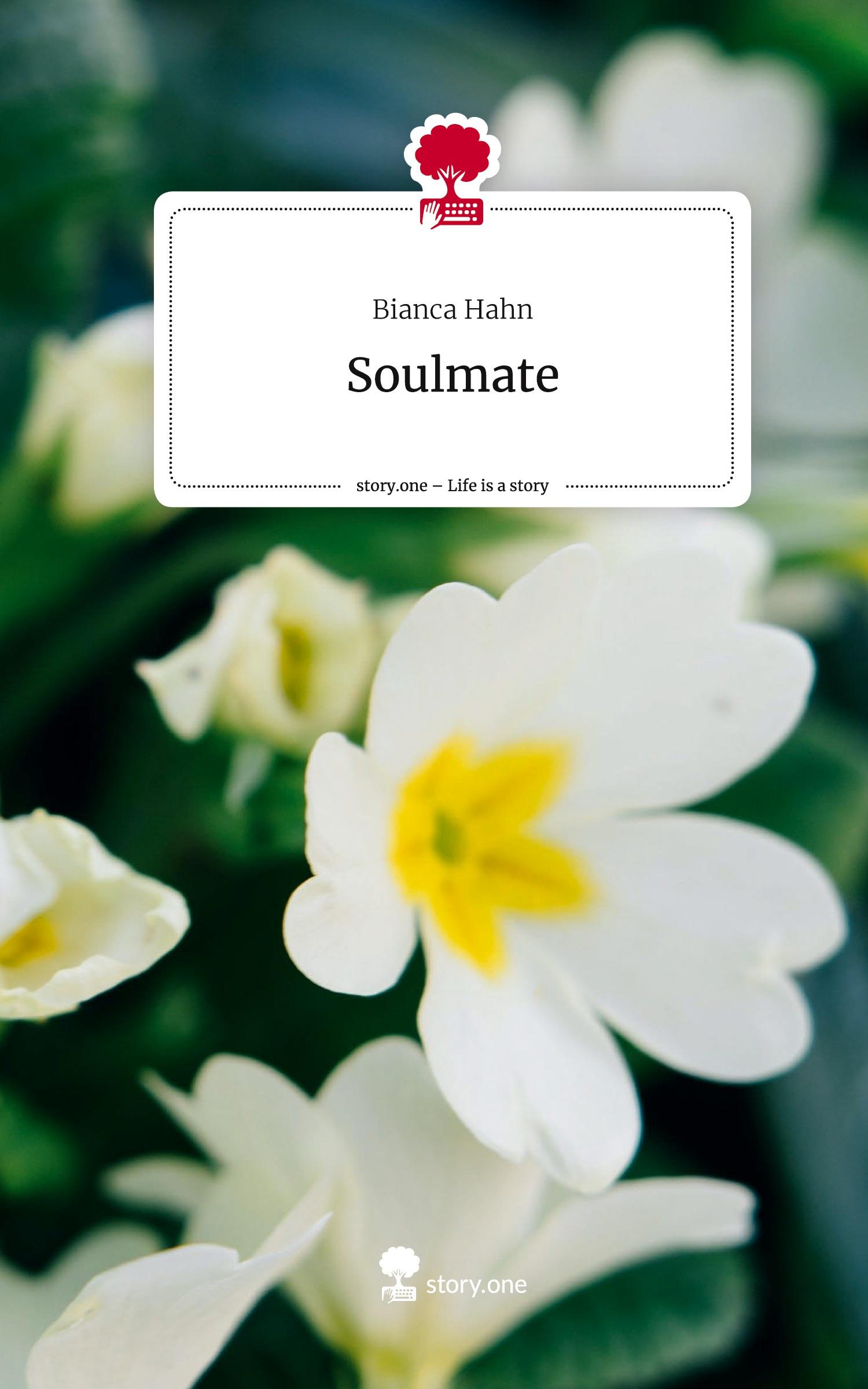 Vorderes Coverbild Soulmate. Life is a Story - story.one