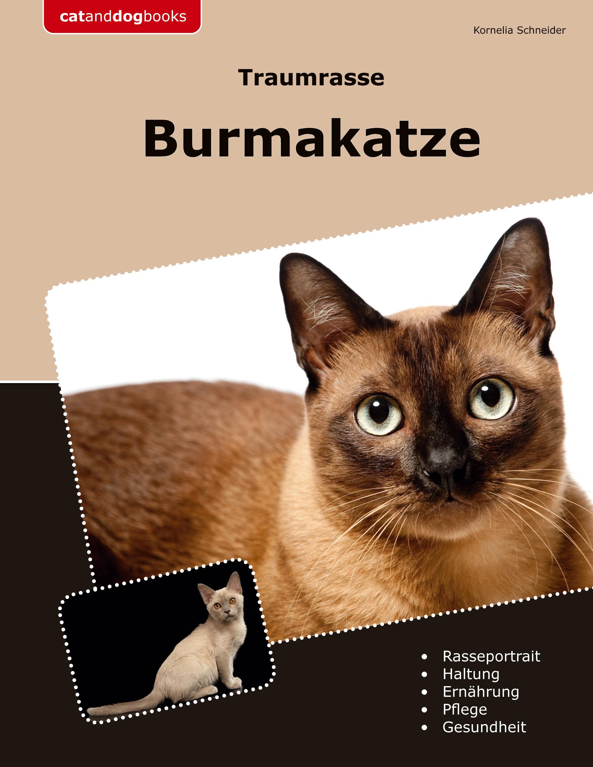 Vorderes Coverbild Traumrasse Burmakatze