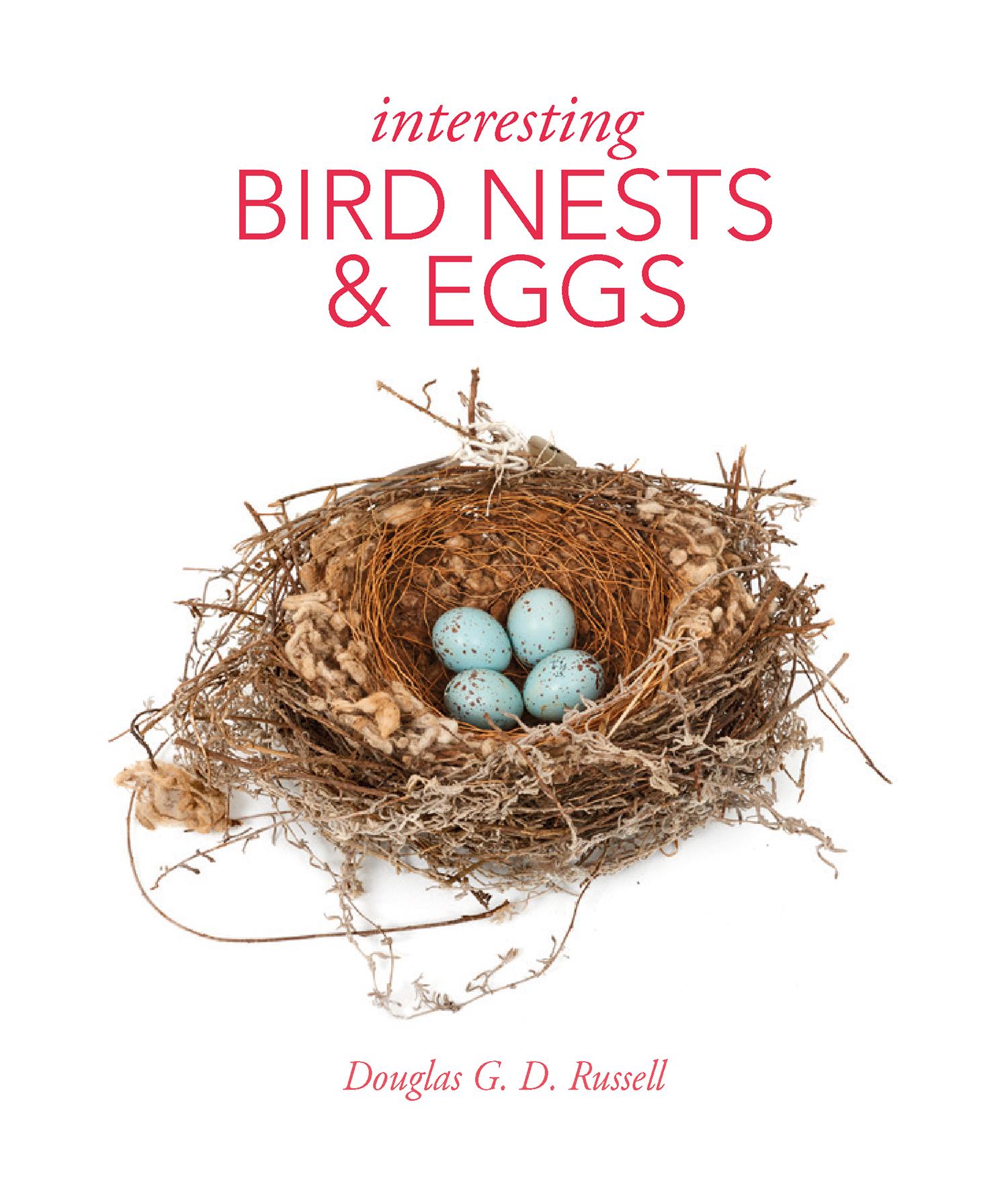 Vorderes Coverbild Interesting Bird Nests and Eggs