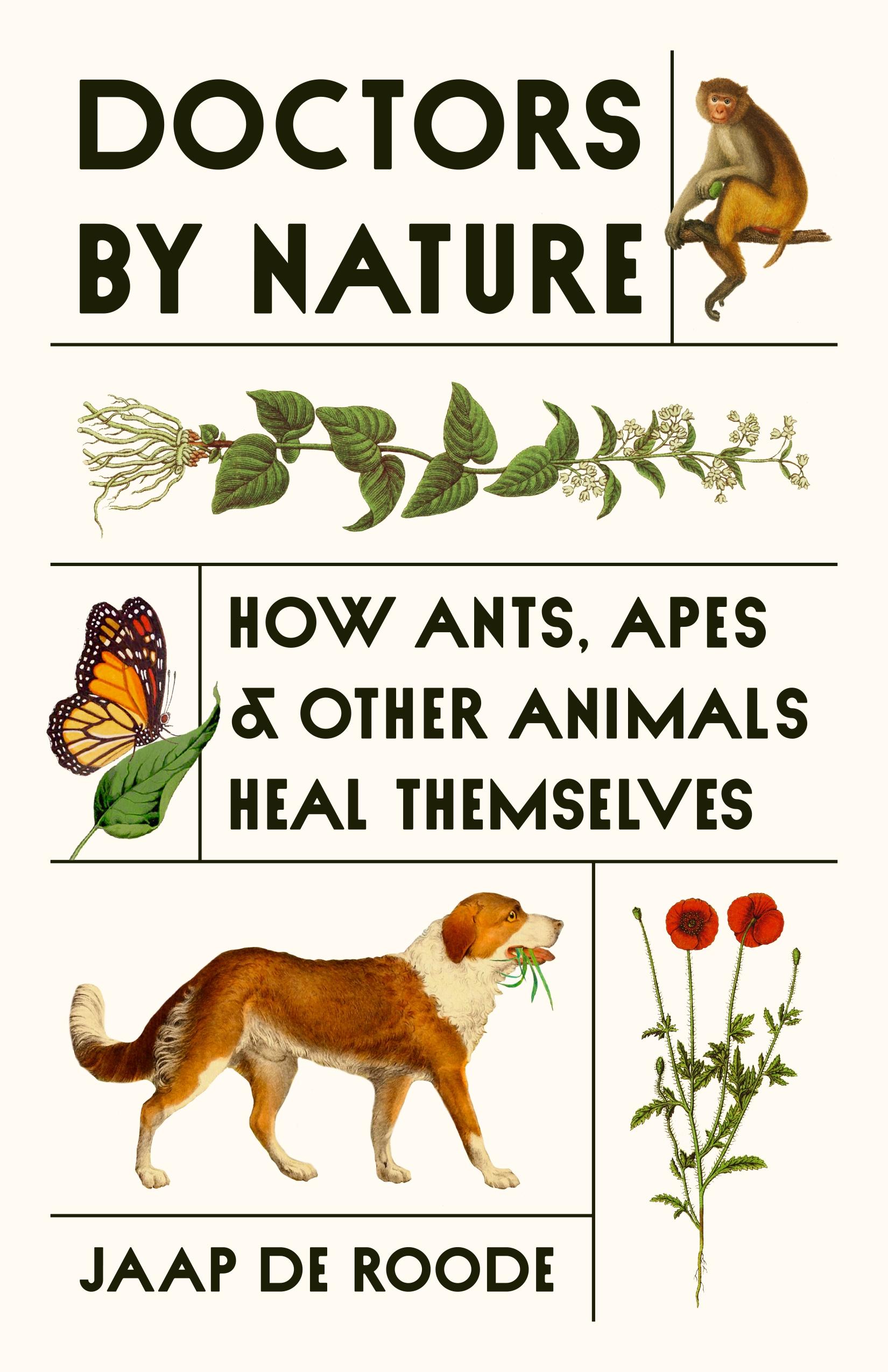 Vorderes Coverbild Doctors by Nature
