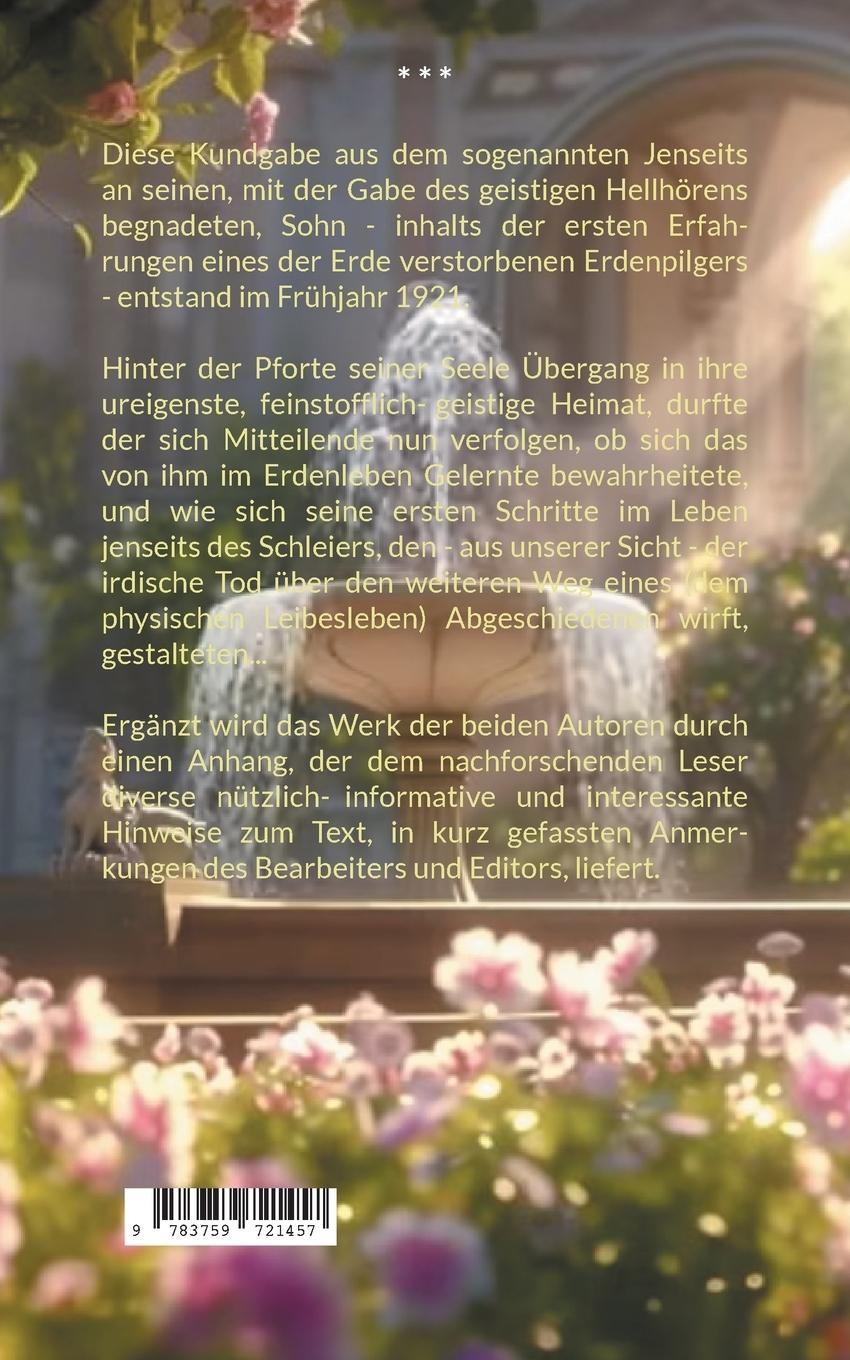 Rückseitencover Führung einer Seele im Jenseits