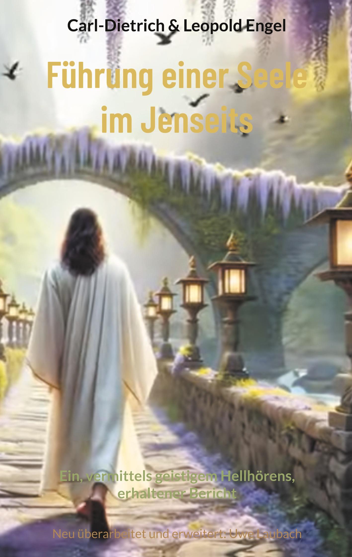 Vorderes Coverbild Führung einer Seele im Jenseits