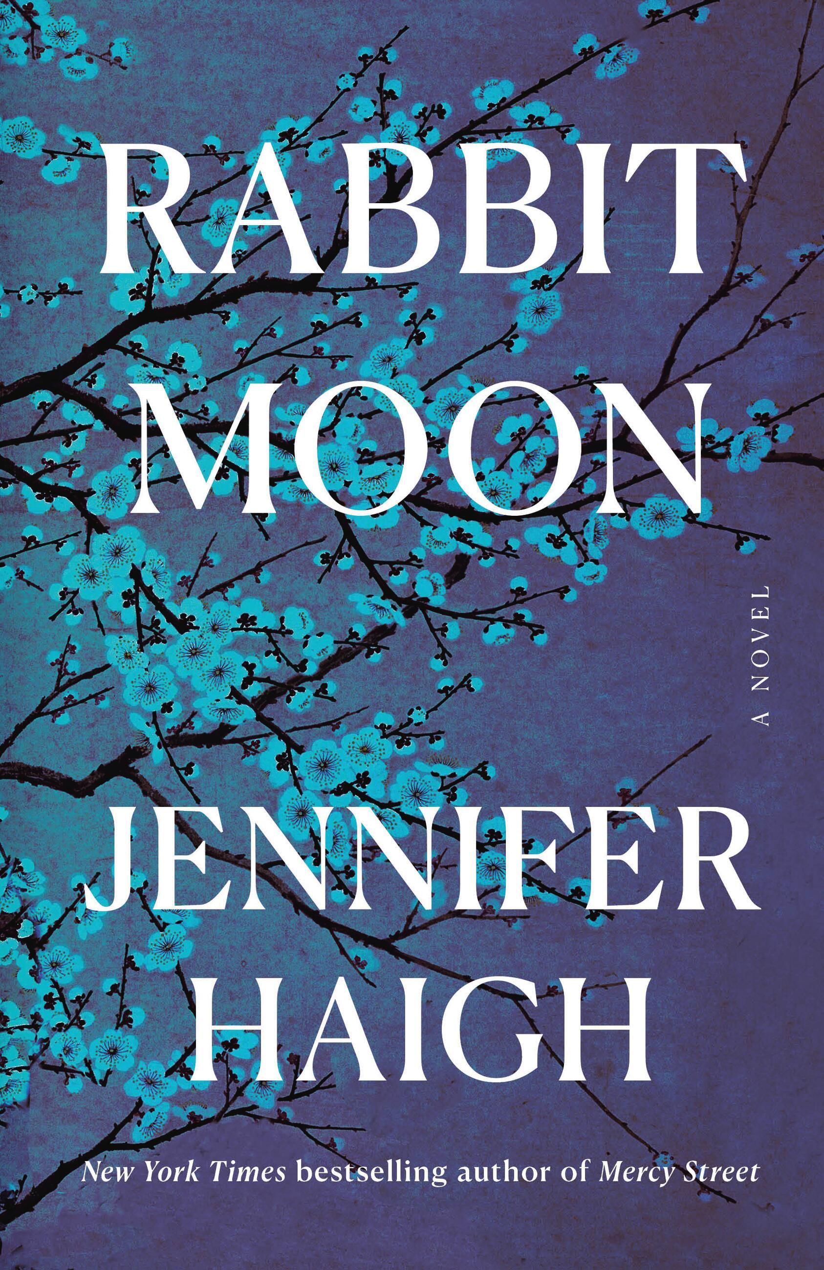 Vorderes Coverbild Rabbit Moon