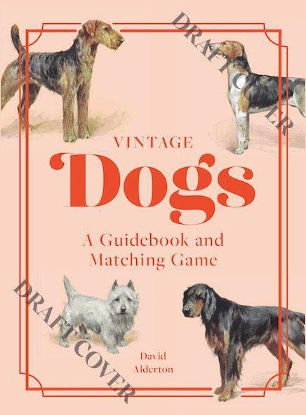 Vorderes Coverbild Vintage Dogs