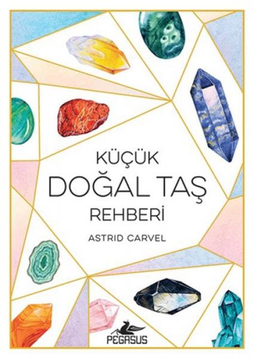 Vorderes Coverbild Kücük Dogal Tas Rehberi