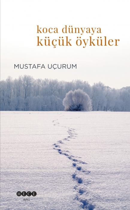 Vorderes Coverbild Koca Dünyaya Kücücük Öyküler
