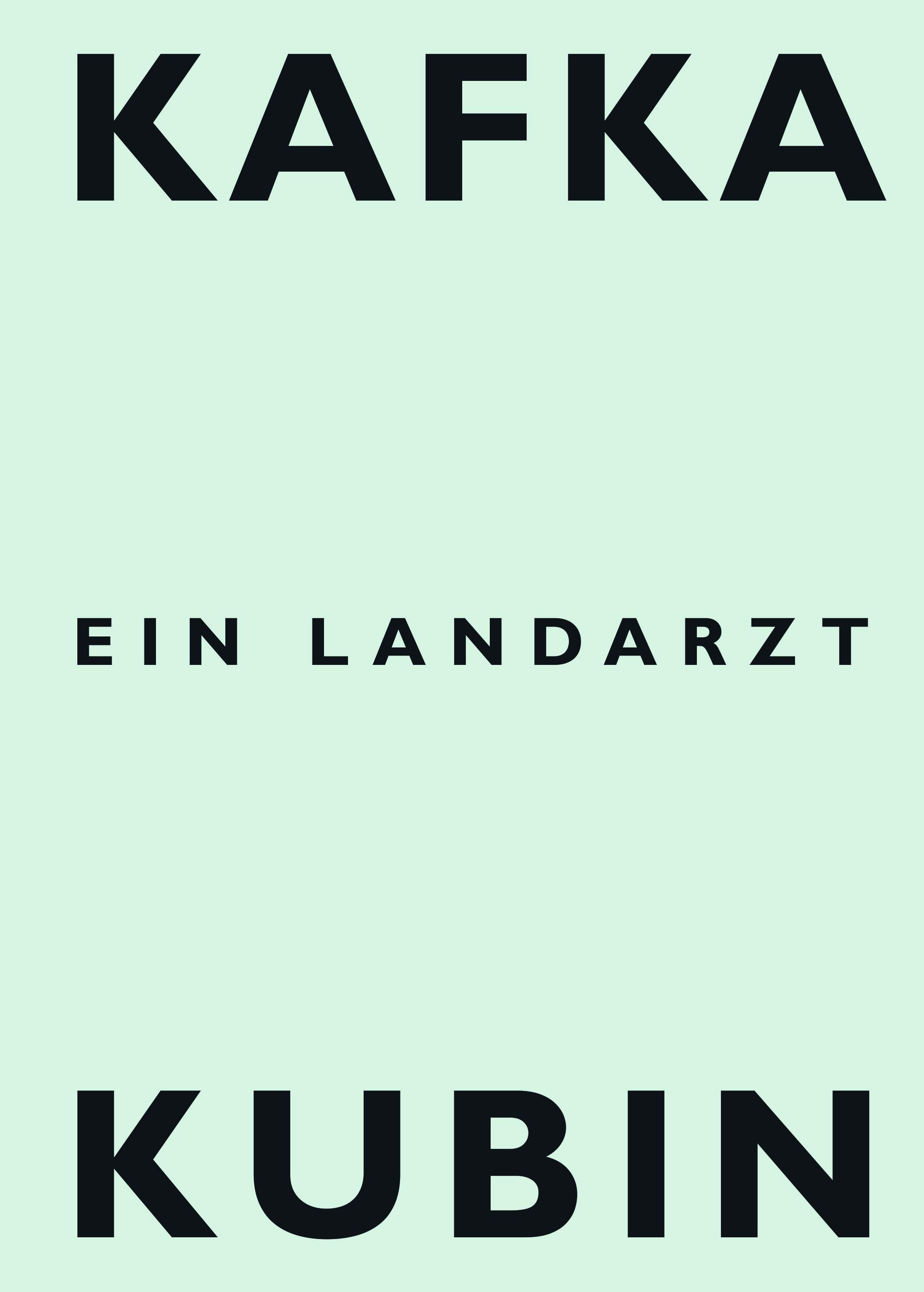 Vorderes Coverbild Ein Landarzt