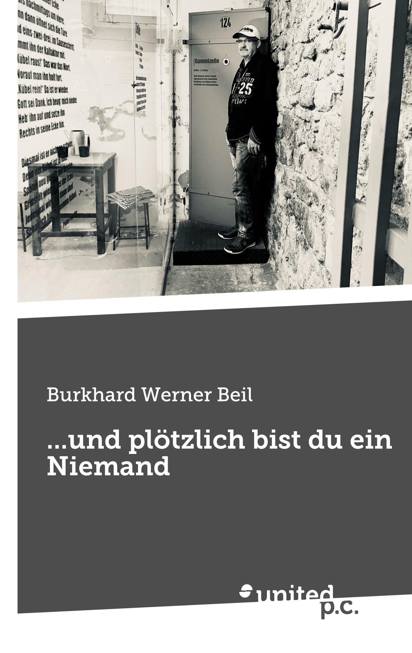 Vorderes Coverbild ...und plötzlich bist du ein Niemand