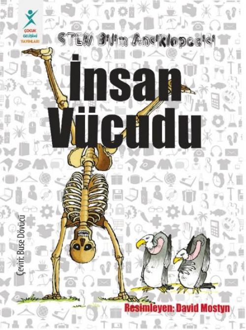 Vorderes Coverbild Insan Vücudu