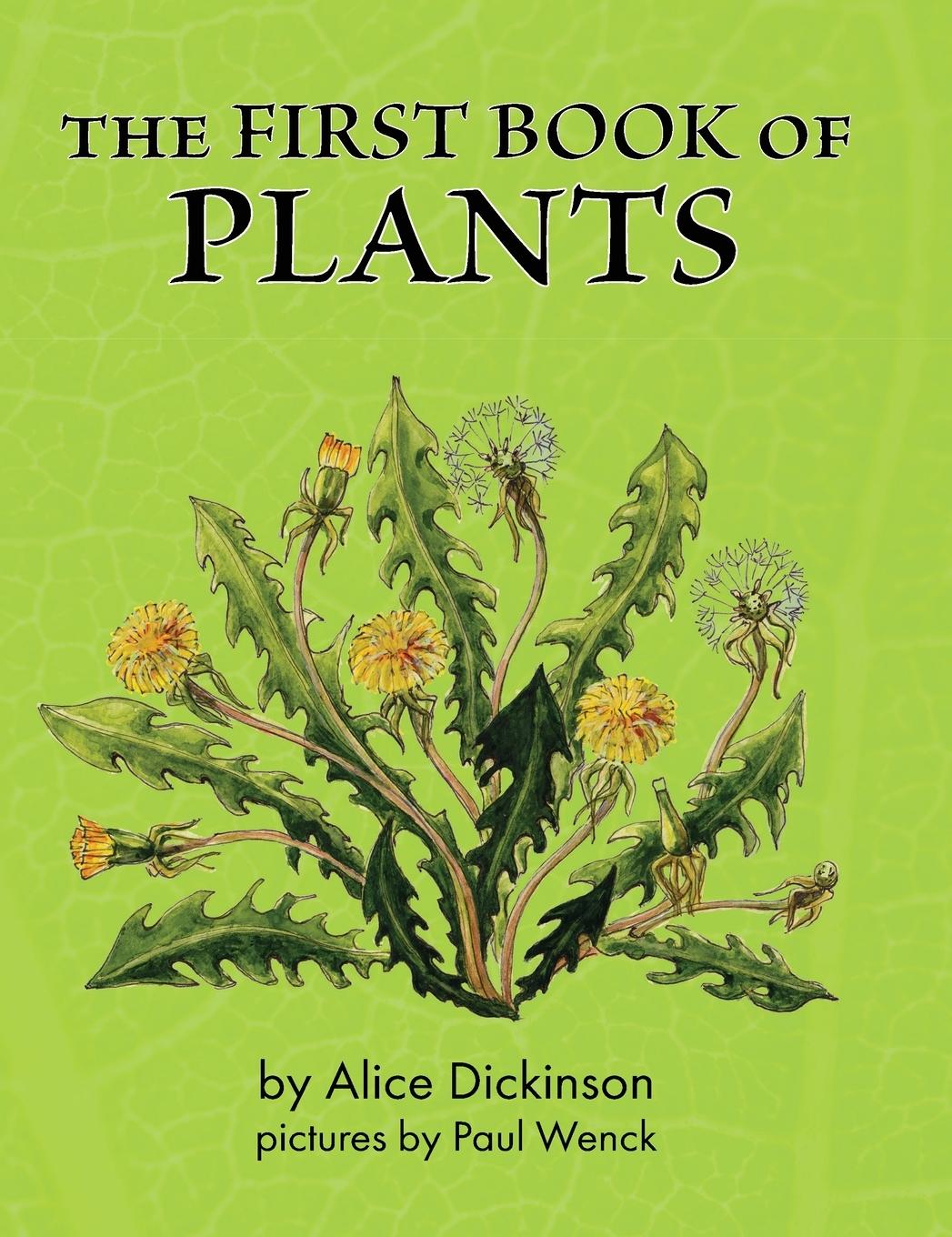 Vorderes Coverbild The First Book of Plants