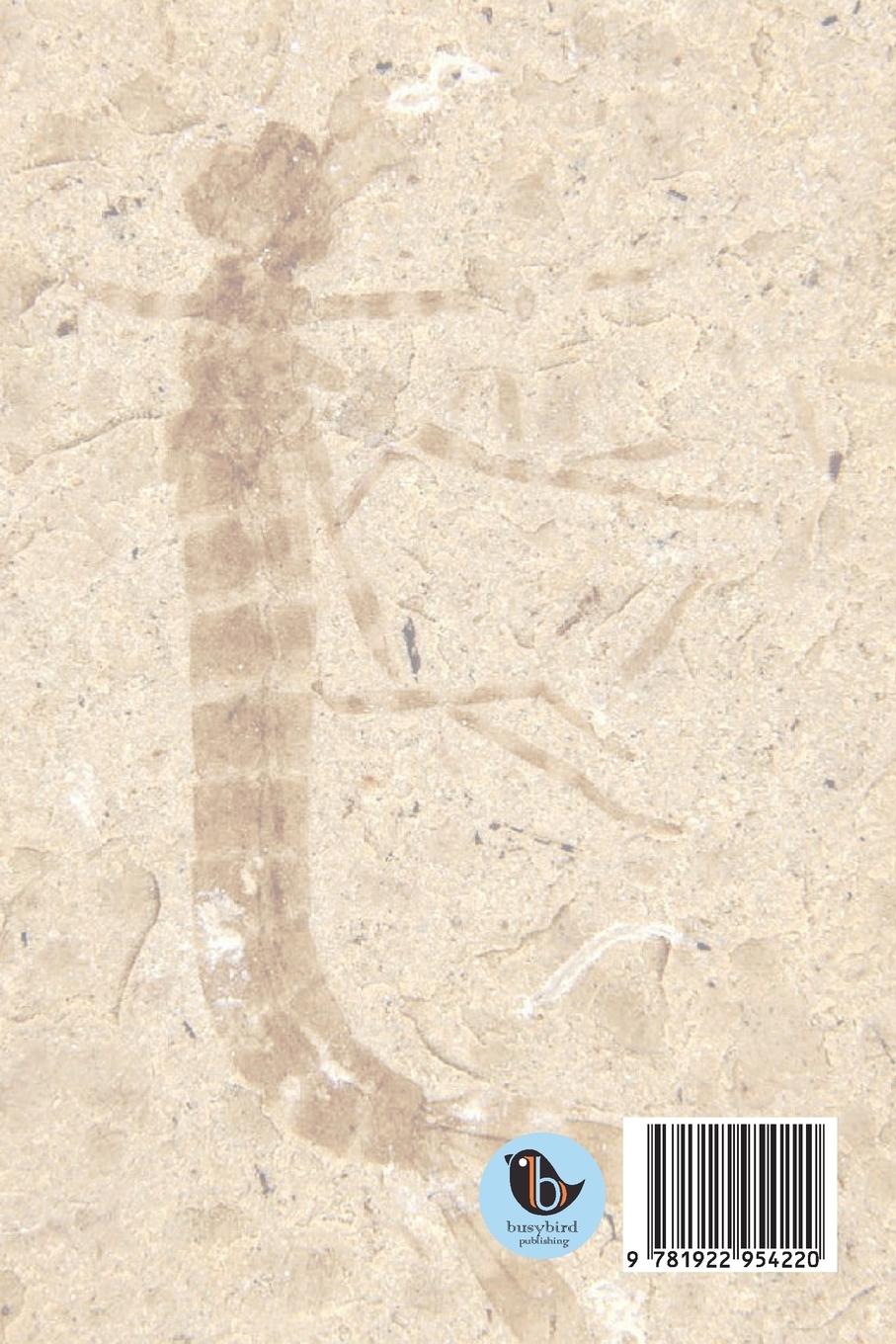 Rückseitencover Catalogue of Australian Fossil Dragonflies