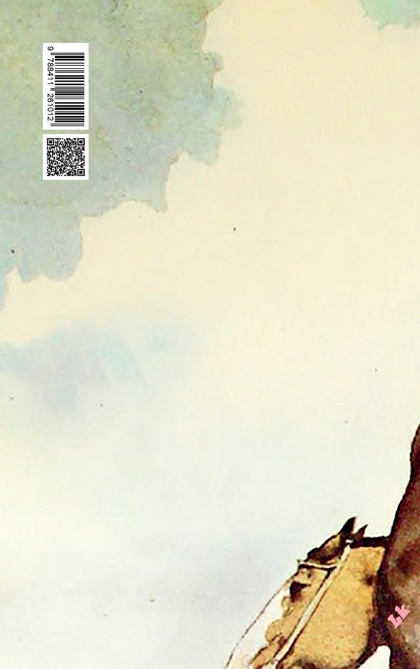 Rückseitencover El gaucho Martín Fierro