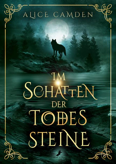 Vorderes Coverbild Im Schatten der Todessteine