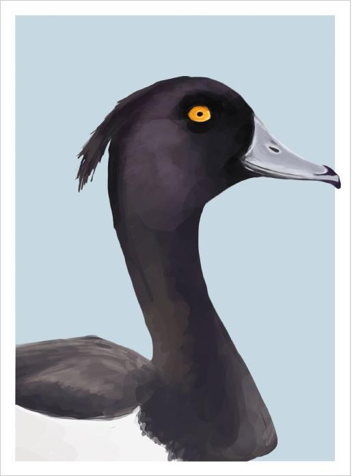 Beispielinhalt (Bild) Famose Vögel - Postkartenbuch