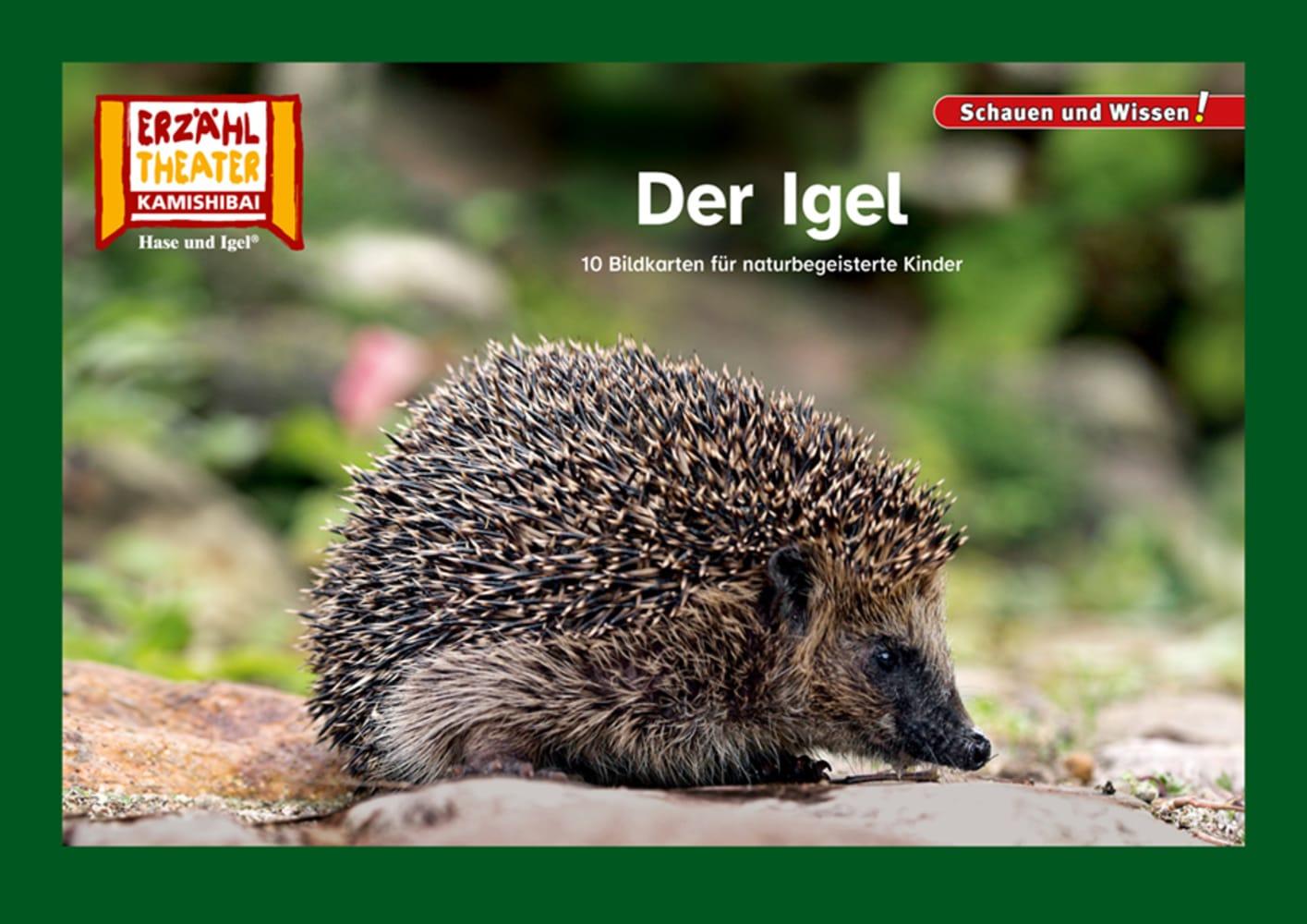 Vorderes Coverbild Der Igel / Kamishibai Bildkarten