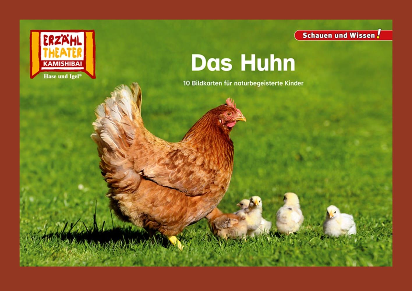 Vorderes Coverbild Das Huhn / Kamishibai Bildkarten