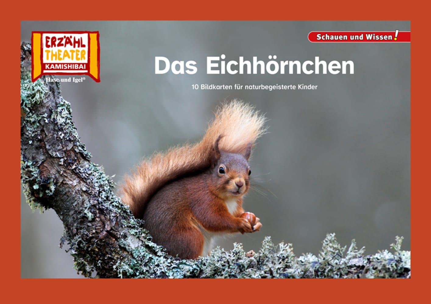 Vorderes Coverbild Das Eichhörnchen / Kamishibai Bildkarten