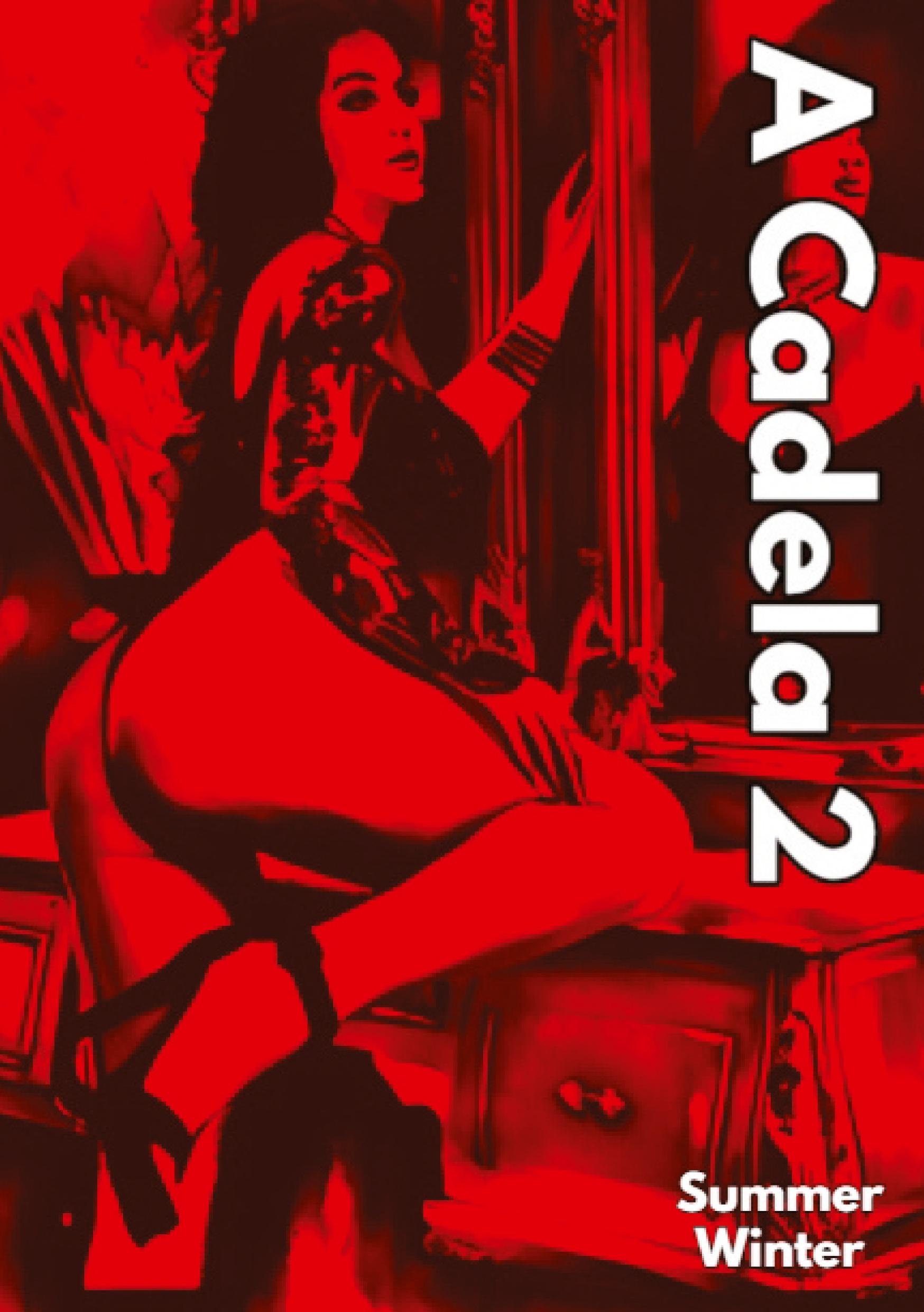 Vorderes Coverbild A Cadela 2