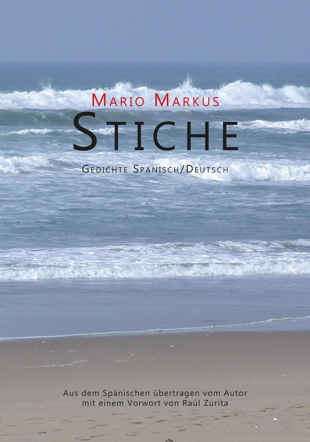 Vorderes Coverbild Stiche