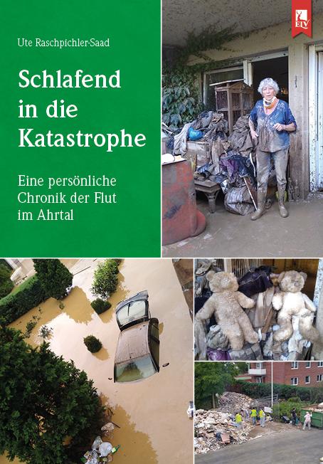 Vorderes Coverbild Schlafend in die Katastrophe