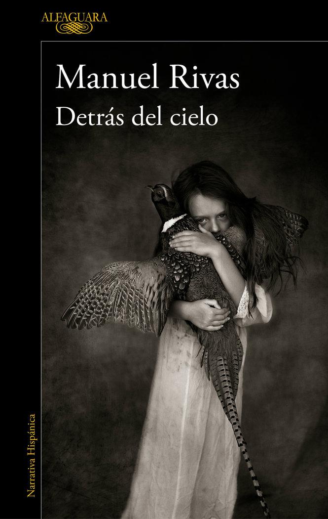 Vorderes Coverbild Detras del cielo