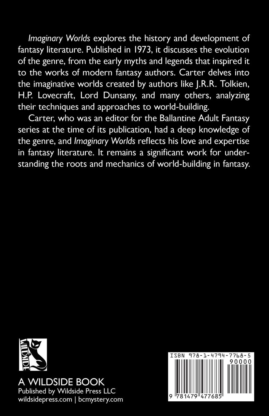 Rückseitencover Imaginary Worlds