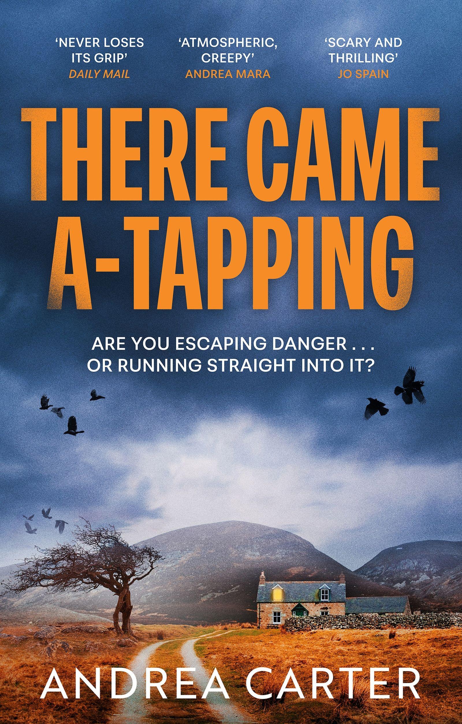 Vorderes Coverbild There Came A-Tapping