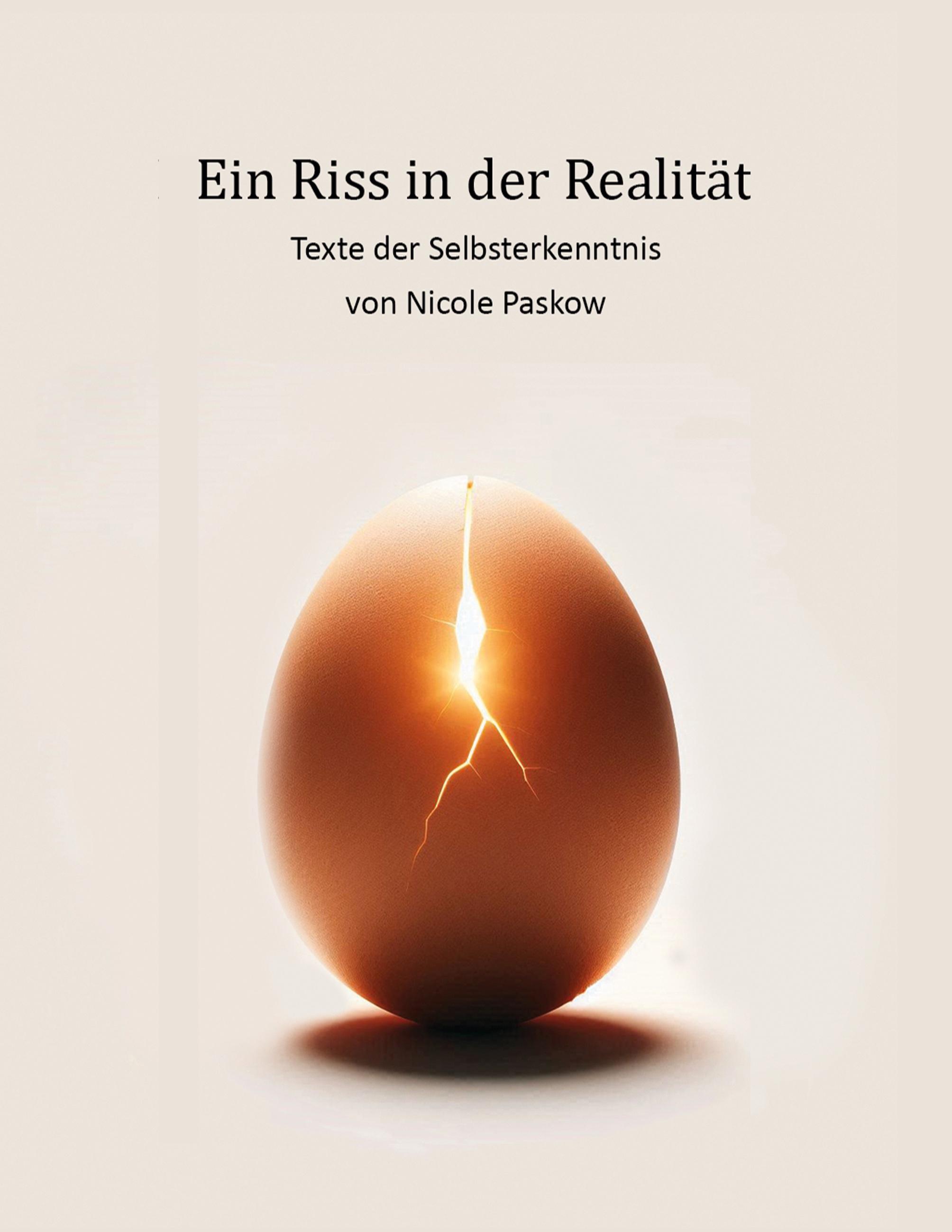 Vorderes Coverbild Ein Riss in der Realität
