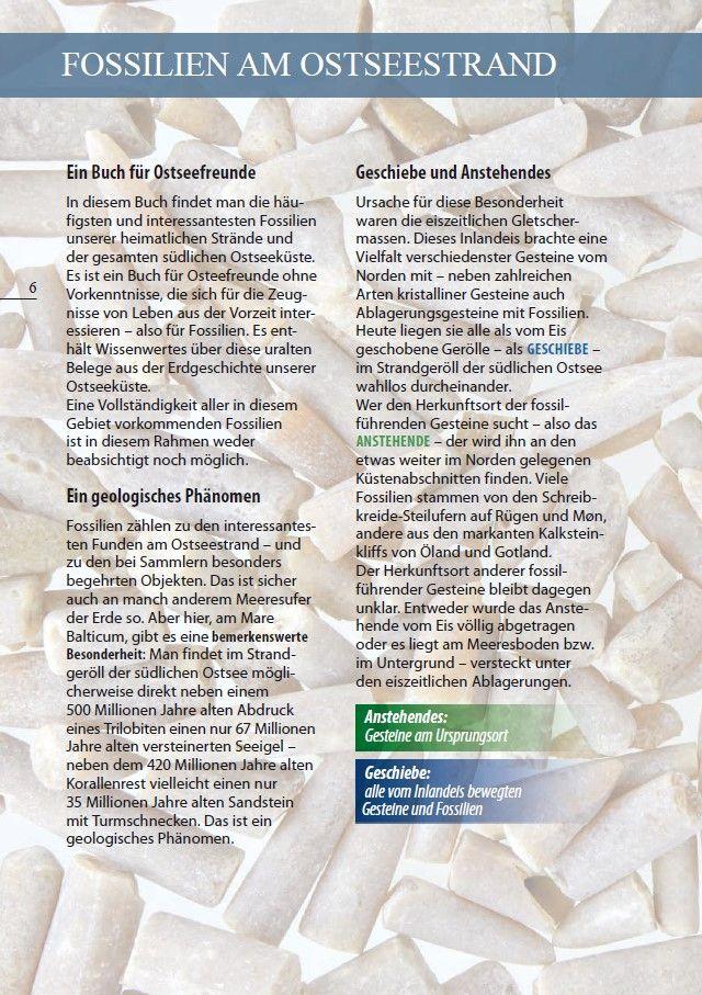 Beispielinhalt (Bild) Fossilien am Ostseestrand